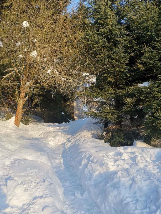 Holiday Home In Harrachov 2311 Luaran gambar