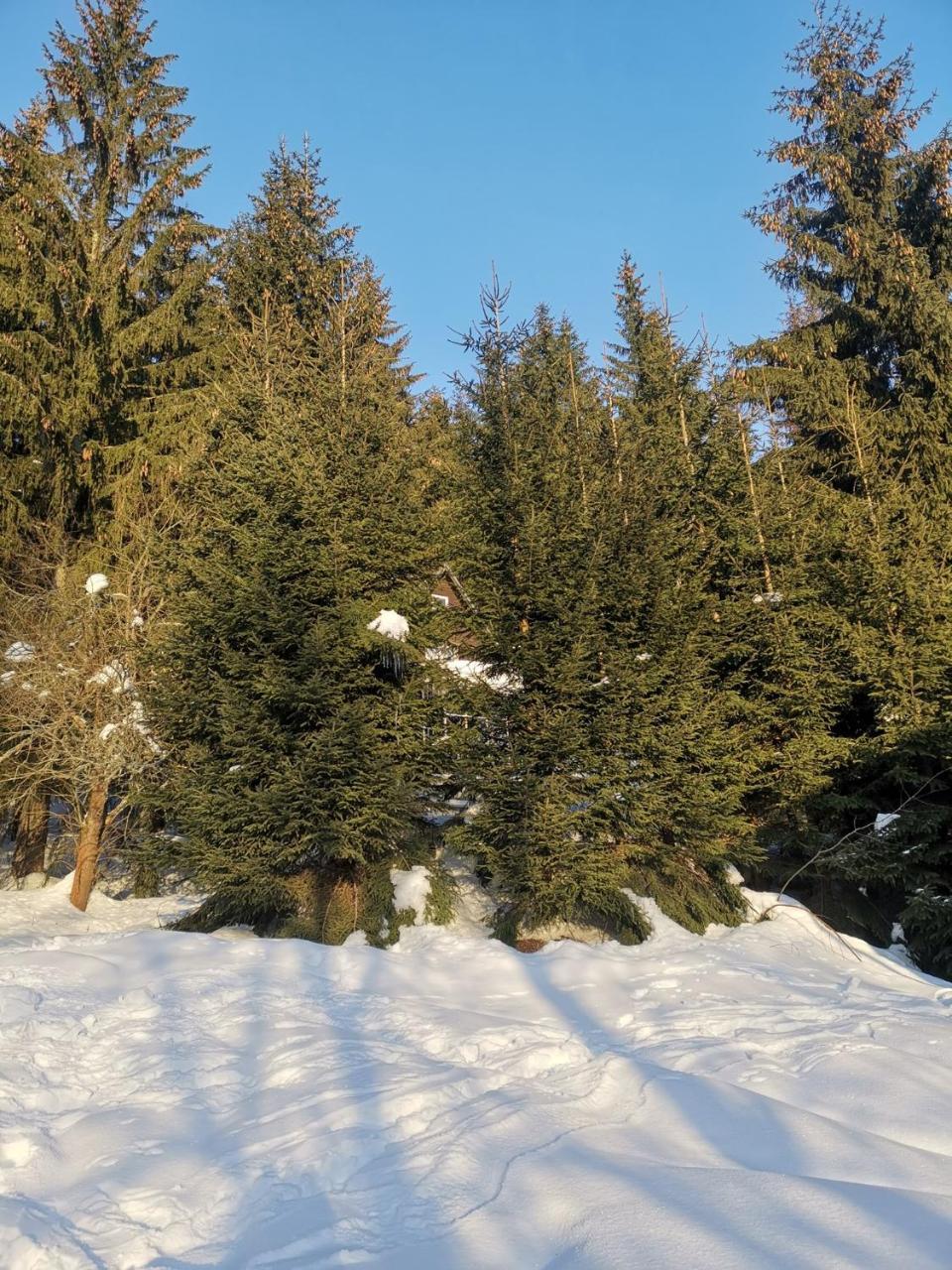 Holiday Home In Harrachov 2311 Luaran gambar